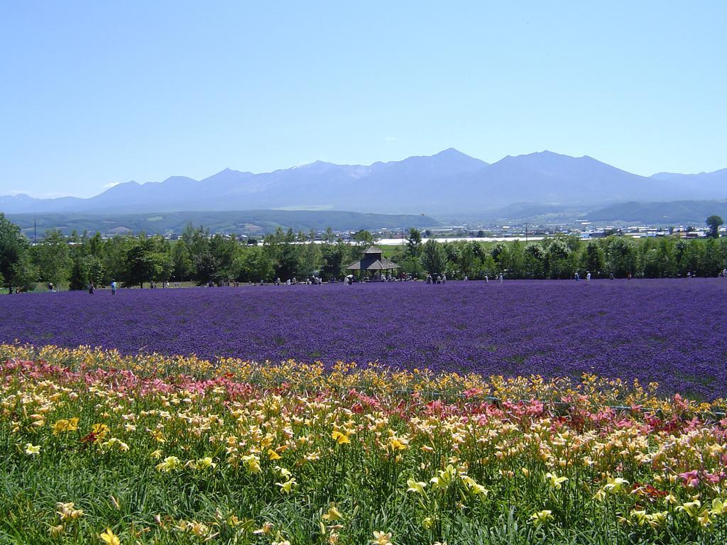 Furano Prince Hotel Екстер'єр фото