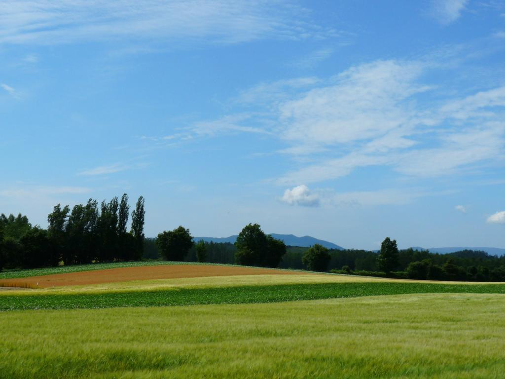 Furano Prince Hotel Екстер'єр фото